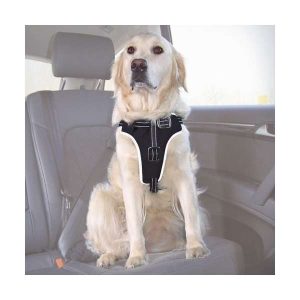 Trixie Auto-Sicherheitsgeschirr Dog Protect – S-M: 40-55 cm