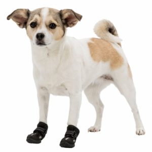 Trixie Pfotenschutzschuhe Walker Active - M – Bild 4