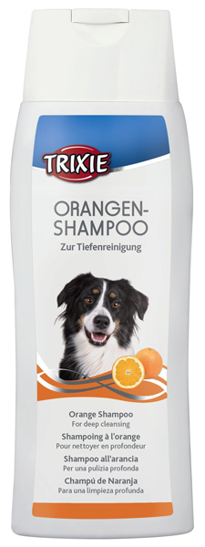 29194 Orangenshampoo