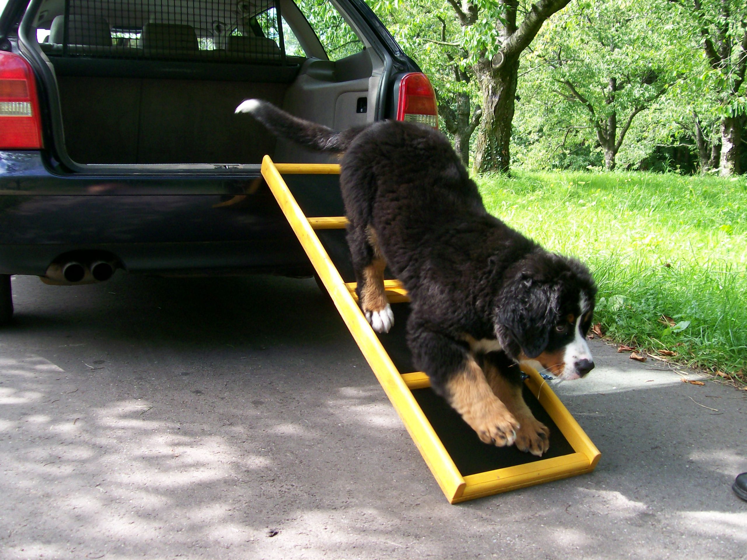 120x34 Standrad Impr. Gummim.1 Scaled