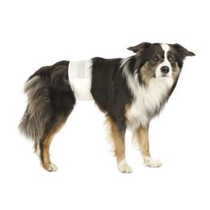 Trixie Hundewindeln für Rüden - L-XL – Bild 3