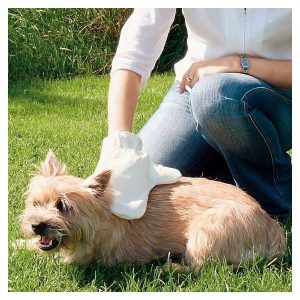 Trixie Fellpflege-Handschuh – Bild 3