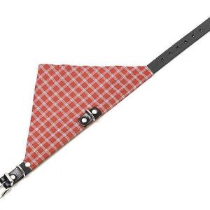 Karlie KOLIBRI Halsband – Rot – 25 mm, 62 cm