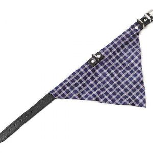 Karlie KOLIBRI Halsband – Blau – 25 mm, 62 cm