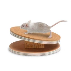 Karlie Flamingo Bogie Disc Laufscheibe mit Korkbeschichtung – 16 cm