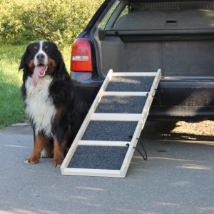 Easy-Hopper Hunderampe Komfort Natur mit Rasenbelag