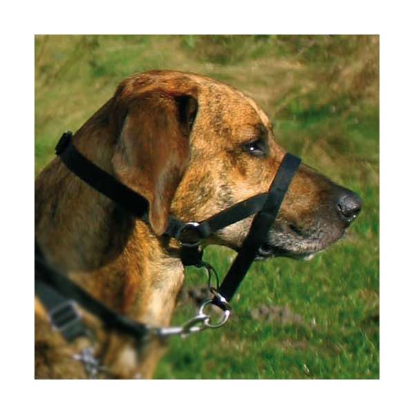 Trixie Top Trainer Ausbildungsgeschirr - max. 31 cm 13001 Trxi Var Bg0d 71