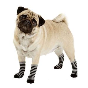 Karlie Doggy Socks Hundesocken 4er Set – Schwarz/Grau – L