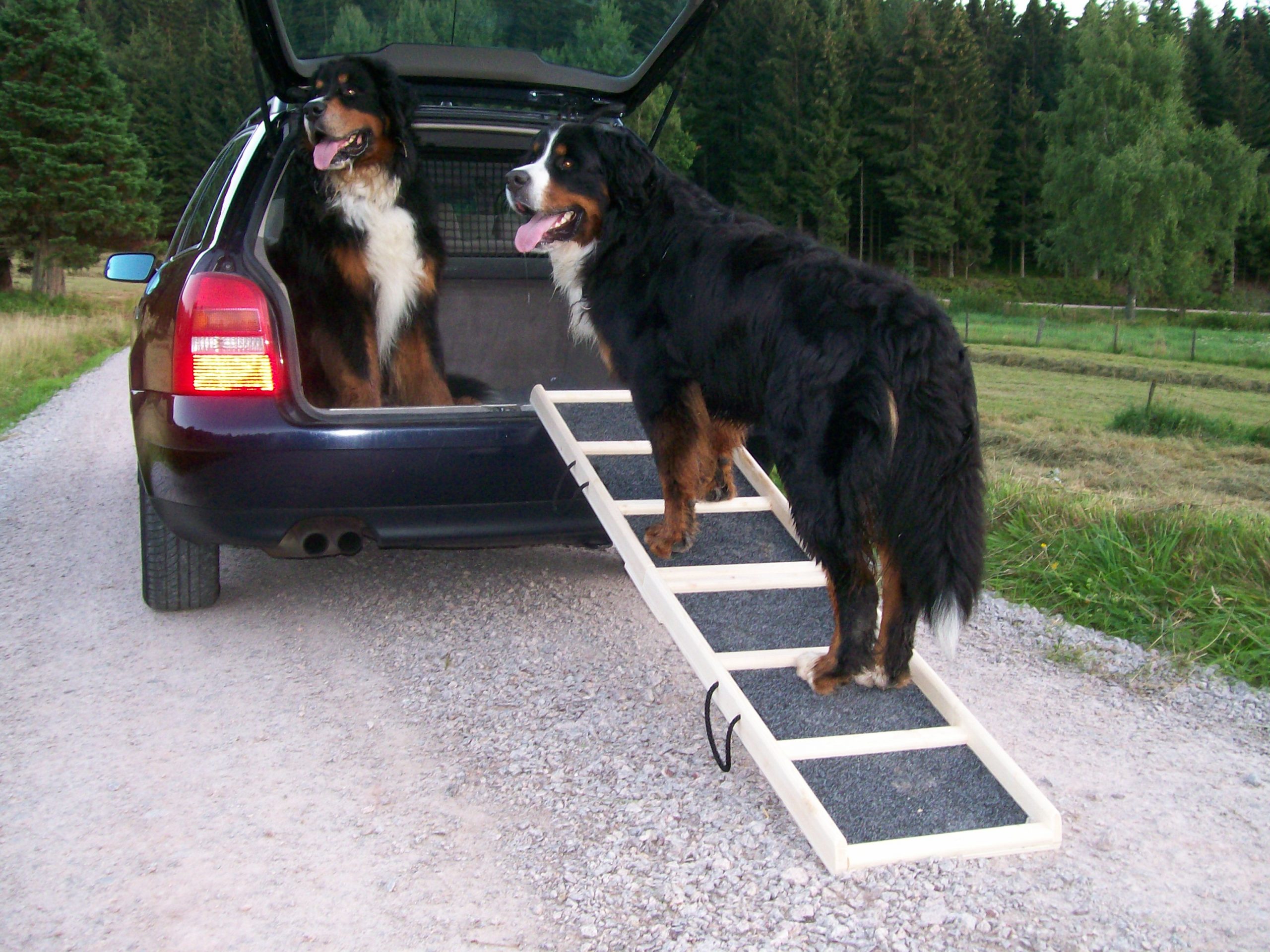 160x40 Komfort Natur Rasen Scaled