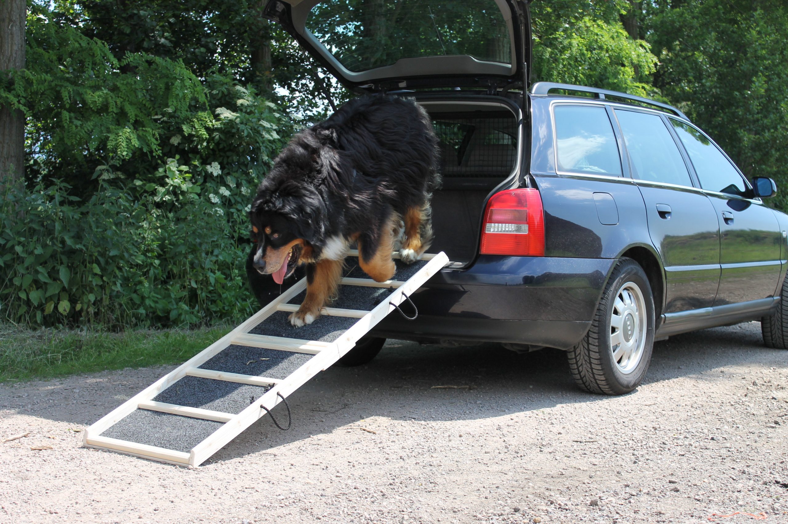 160x50 Komfort Natur Rasen 3 Scaled