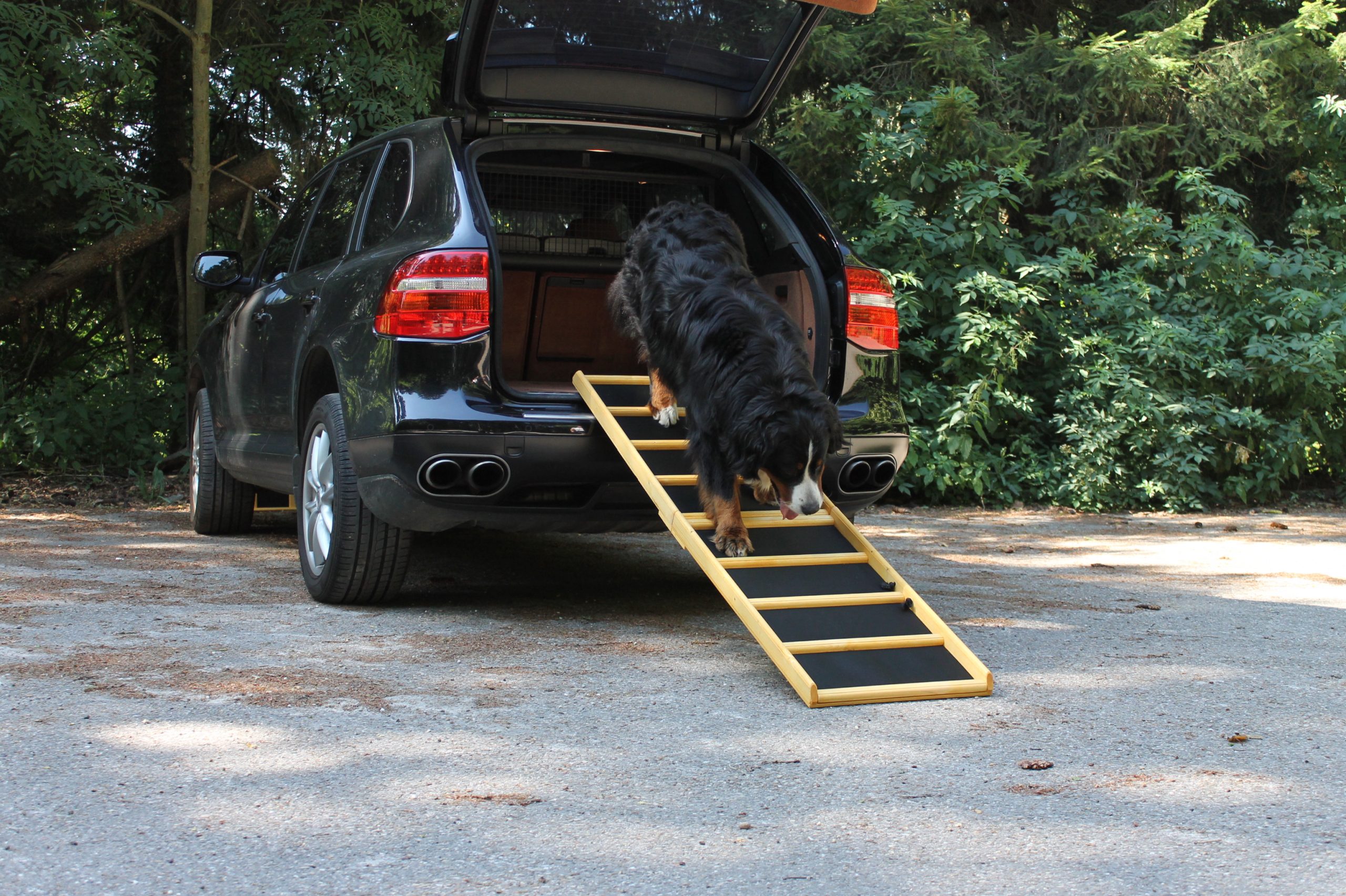 180x50 Komfort Impr. Gummim. 1 Scaled