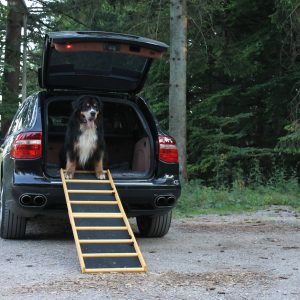 Easy-Hopper Hunderampe Extra Breit Komfort imprägniert mit Feinriefengummimatte