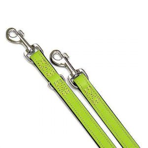 Karlie VINTAGE Führleine – Kiwi – 22 mm, 200 cm