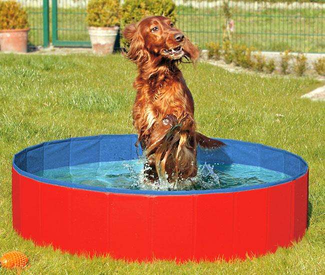 31887_z1_3pxs-ag.jpg Karlie DOGGY POOL der Swimmingpool für Hunde - Rot-Blau - 80 cm