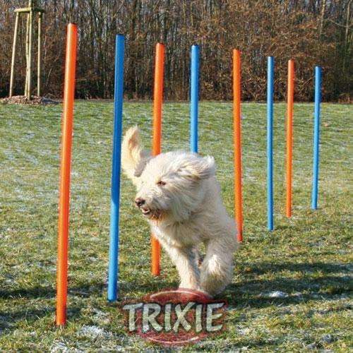 3206trxi_z1.jpg Trixie Agility Slalom