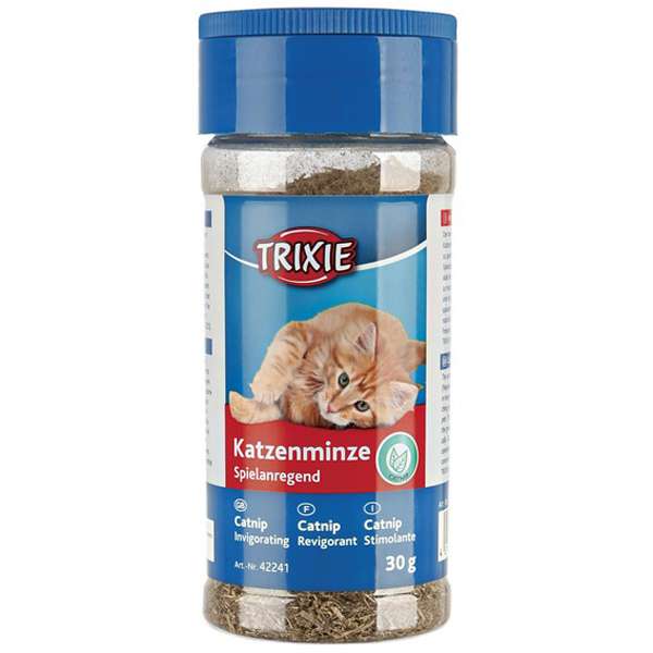 42241 Trixie Katzenminze N