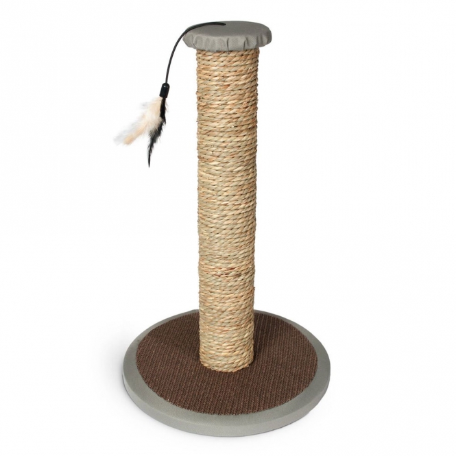 Karlie Kratzsäule Rofra 521425.jpg