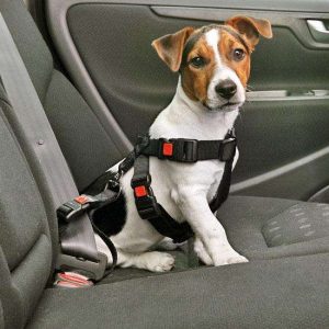 Karlie Auto-Sicherheitsgurt – XS