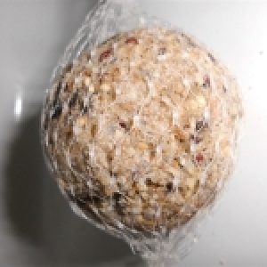 Pfiffikus Meisenknödel o.F. 100St