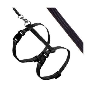 Karlie ASP Katzengeschirr mit Leine – Schwarz