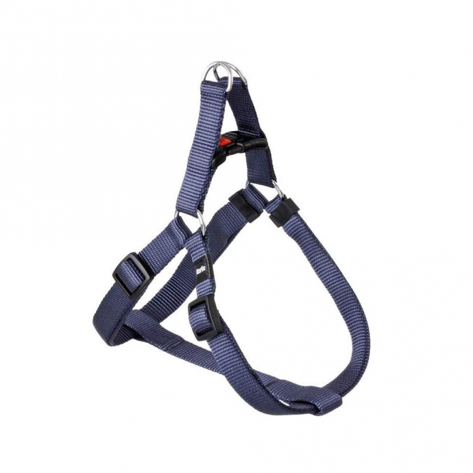 64265 var qdvn 9t.jpg