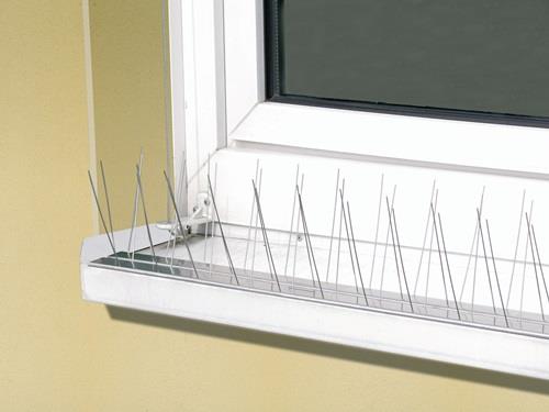 70001 4000818603.jpg