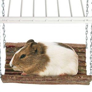 Karlie RODY SWING Nagerschaukel – S