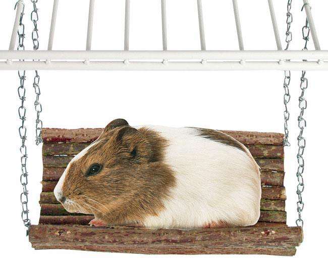 Karlie RODY SWING Nagerschaukel - S 84205 Z1