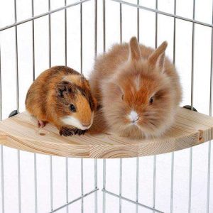 Karlie Holz-Sitzecke – Groß