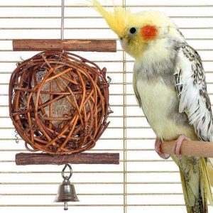 Karlie Wooden Bird Ball – 10 cm