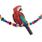 Homepage Karlie Spielseil PORTO ALEGRE für Papageien