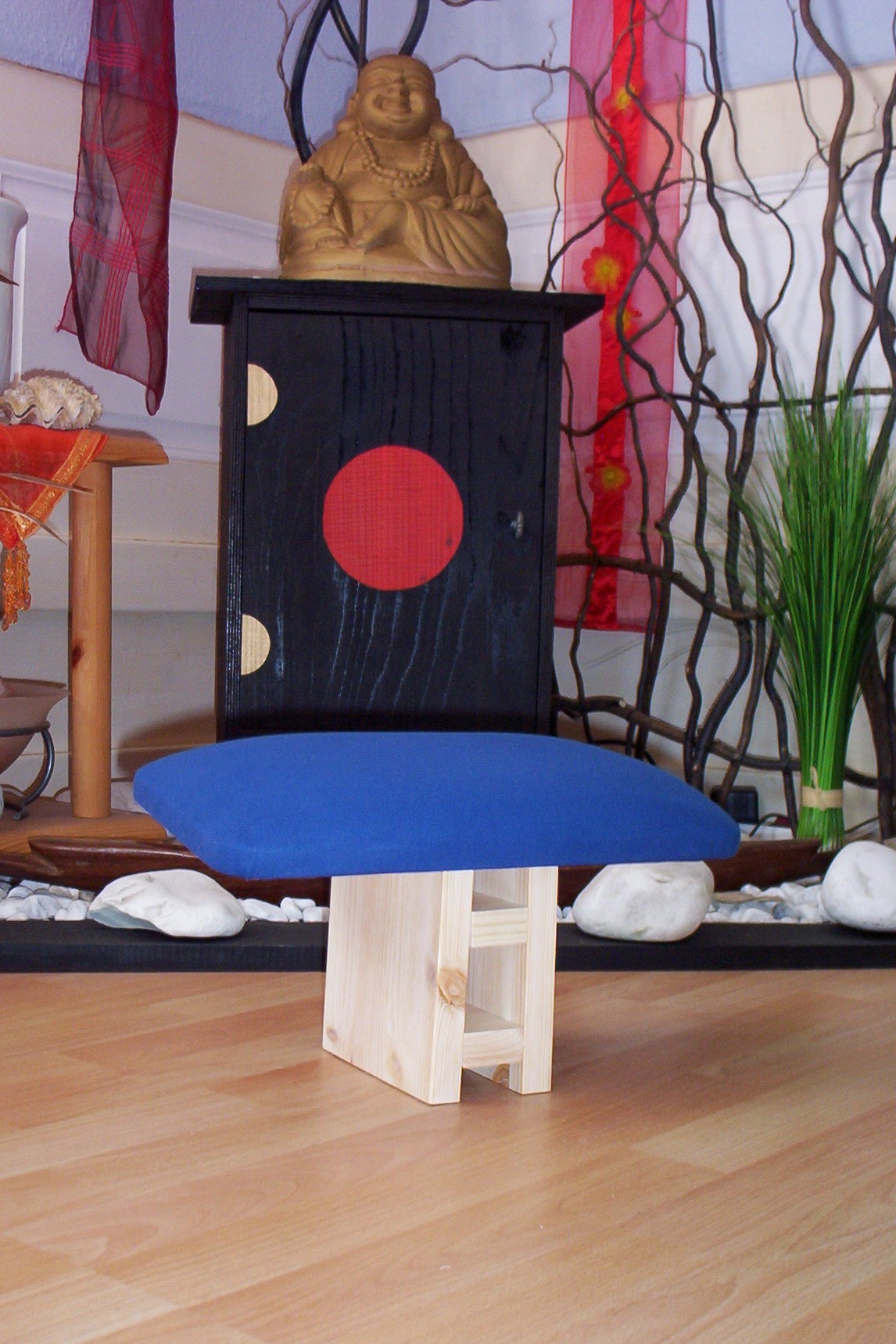 zakura pro.jpg zakura pro.jpg