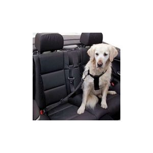 Kerbl Autosicherheitsgurt – S