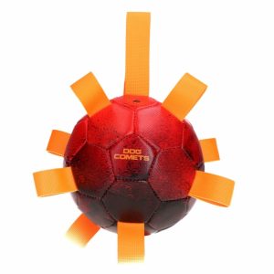 Dog Comets Ball Hypernova – Orange