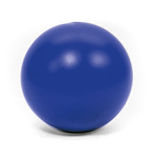 treibball blau.jpg