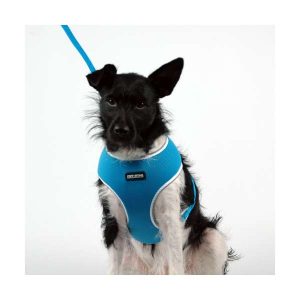 Pet-Star Softgeschirr / Netzgeschirr – Blau – XL