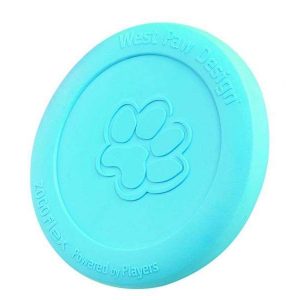 West Paw Zisc – 22 cm – Aqua