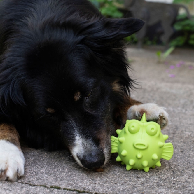 ps 90386.jpg ps 90386.jpg