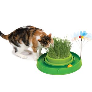 CATIT Play-n-Scratch mit Grasgarten – Grün