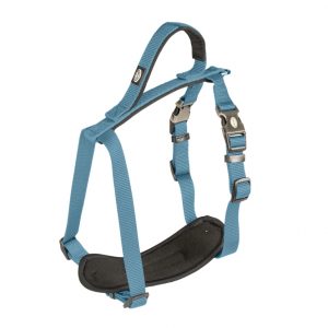 Duvoplus EXPLOR North Geschirr – Petrolblau – 65-80cm/25mm