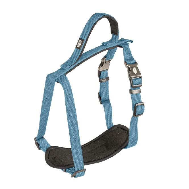 Duvoplus EXPLOR North Geschirr - Petrolblau - 65-80cm/25mm 5414365289300 prd webl rj00 by.jpg