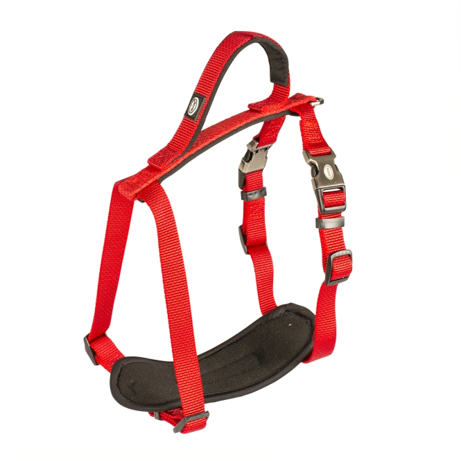 Duvoplus EXPLOR North Geschirr - Rot - 65-80cm/25mm 5414365289560 prd webl io8j 8t.jpg