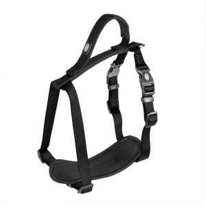 Duvoplus EXPLOR North Geschirr – Schwarz – 65-80cm/25mm