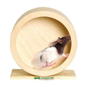 Karlie Holz-Laufrad BOGIE WHEEL – 20 cm